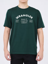 REGULAR FIT MEN'S SHORT SLEEVE T-SHIRT DARK DREEN