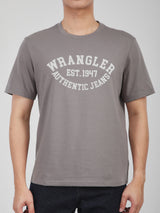 REGULAR FIT MEN'S SHORT SLEEVE T-SHIRT GREY