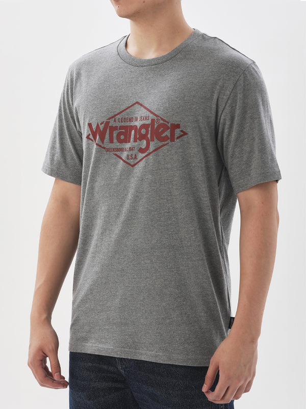 REGULAR FIT MEN'S SHORT SLEEVE T-SHIRT GREY