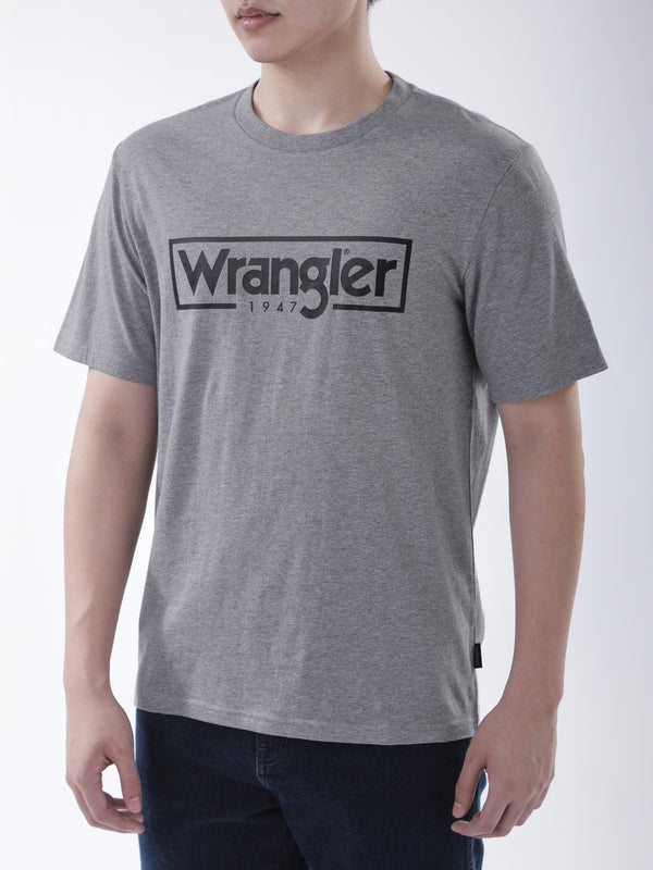 REGULAR FIT MEN'S SHORT SLEEVE T-SHIRT GREY