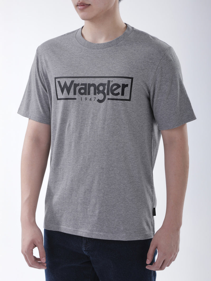 REGULAR FIT MEN'S SHORT SLEEVE T-SHIRT GREY